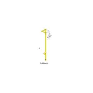 SCAFFOLD HOIST WELL ARM