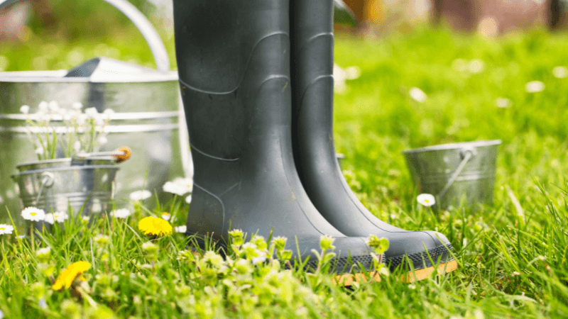 Embrace the Bloom: A Guide to Transitioning into Spring